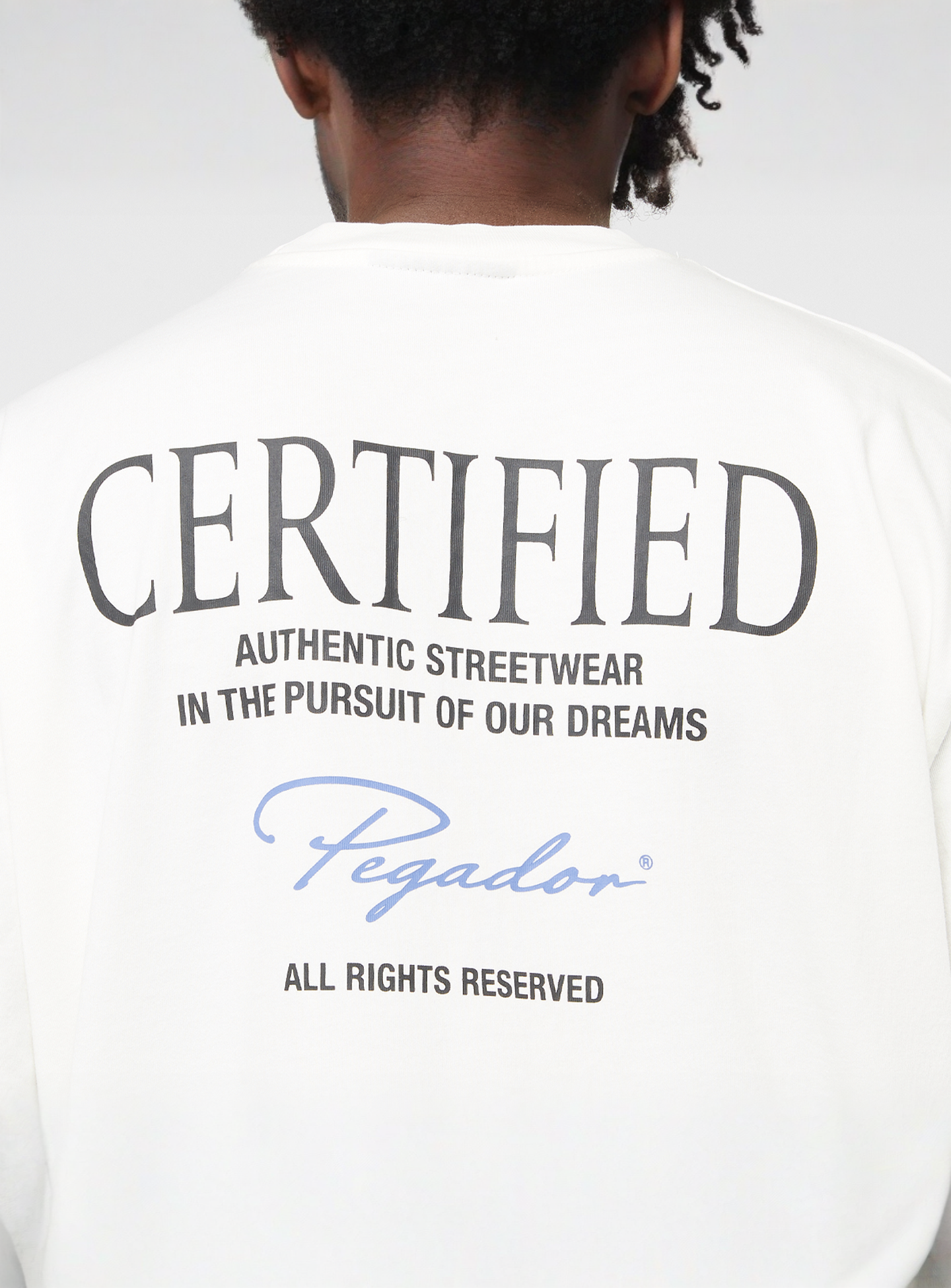 Pegador, Carillo Oversized Tee, white, Image 4 of 5