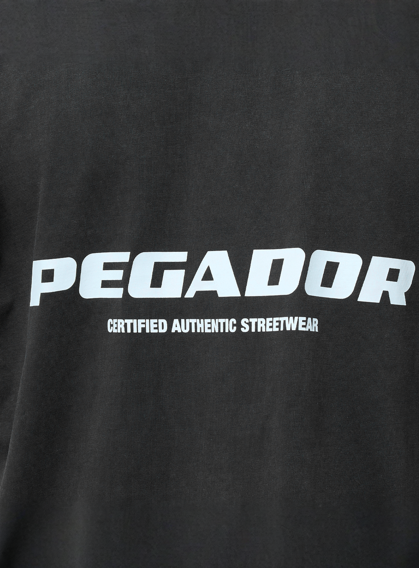 Pegador, Zenor Oversized Tee, black, Image 4 of 5