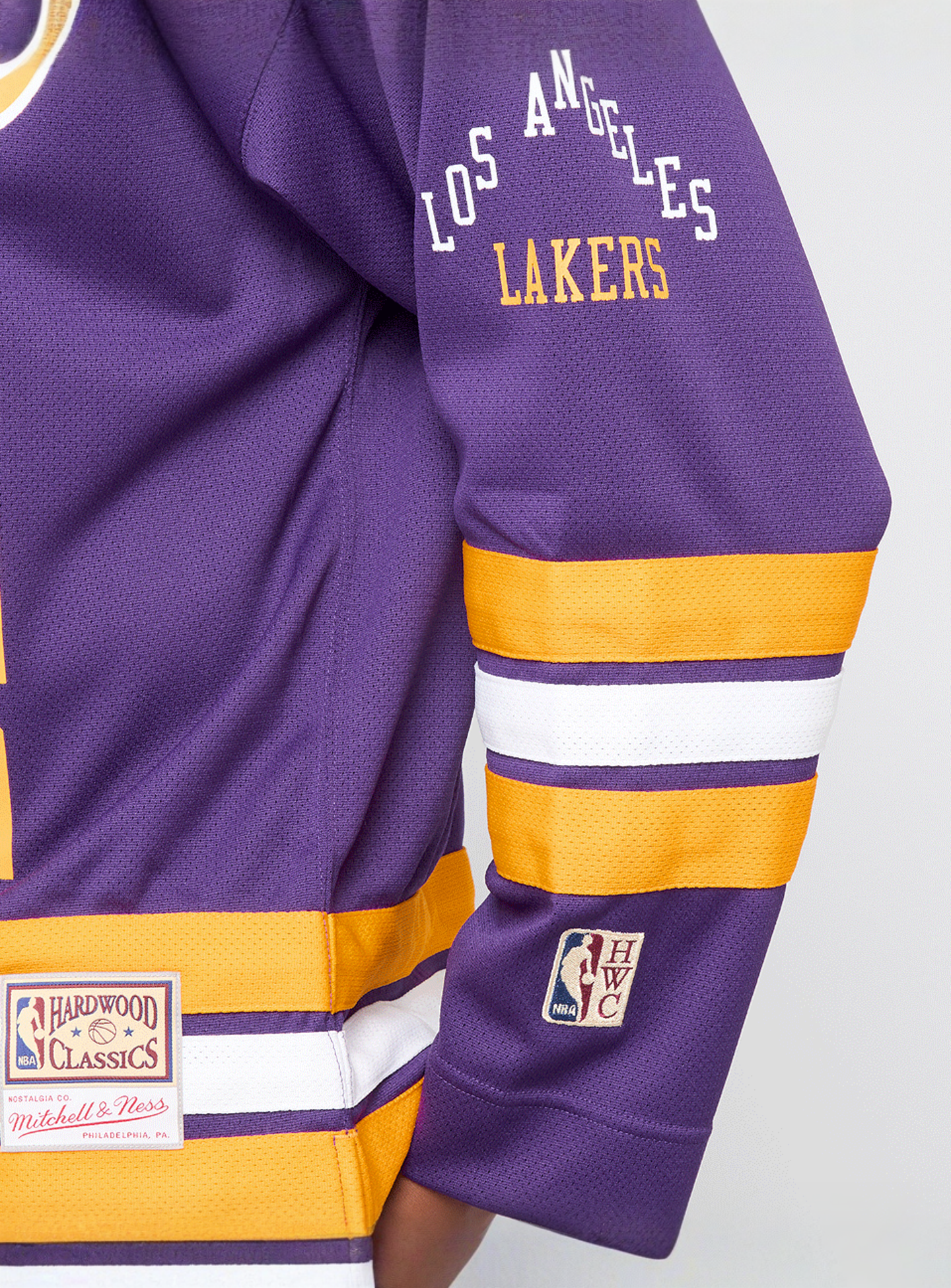 Mitchell & Ness, NBA Los Angeles Lakers Maxxed Out Fashion Jersey, purple, Image 4 of 7