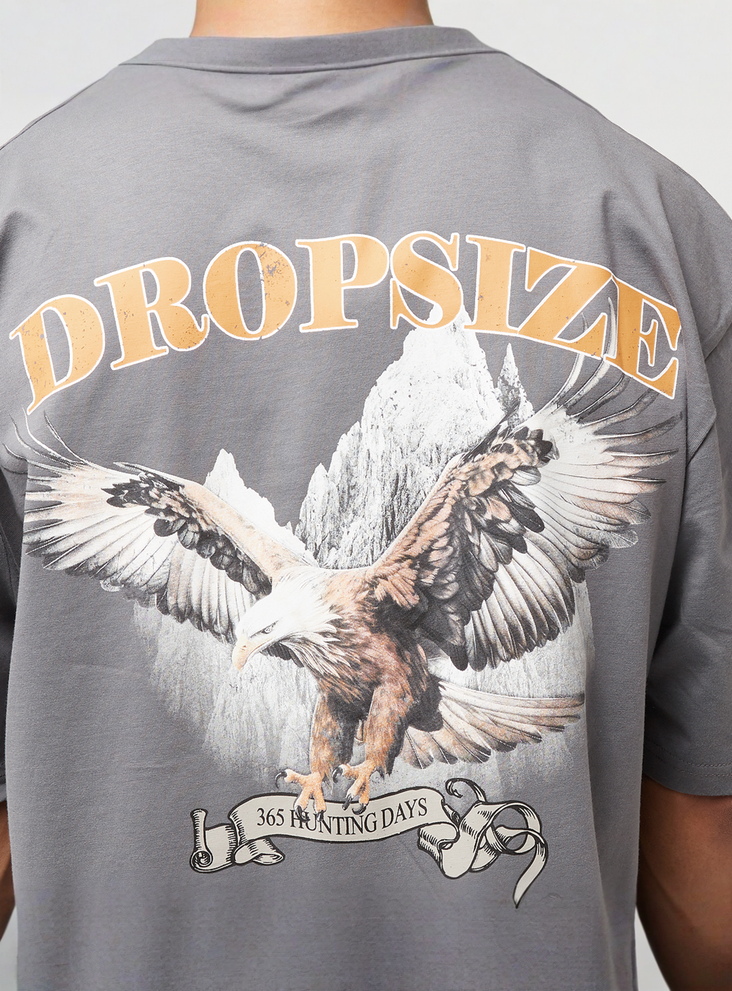 DropSize, Heavy Oversized Eagle T-Shirt, grey, Image 4 of 5