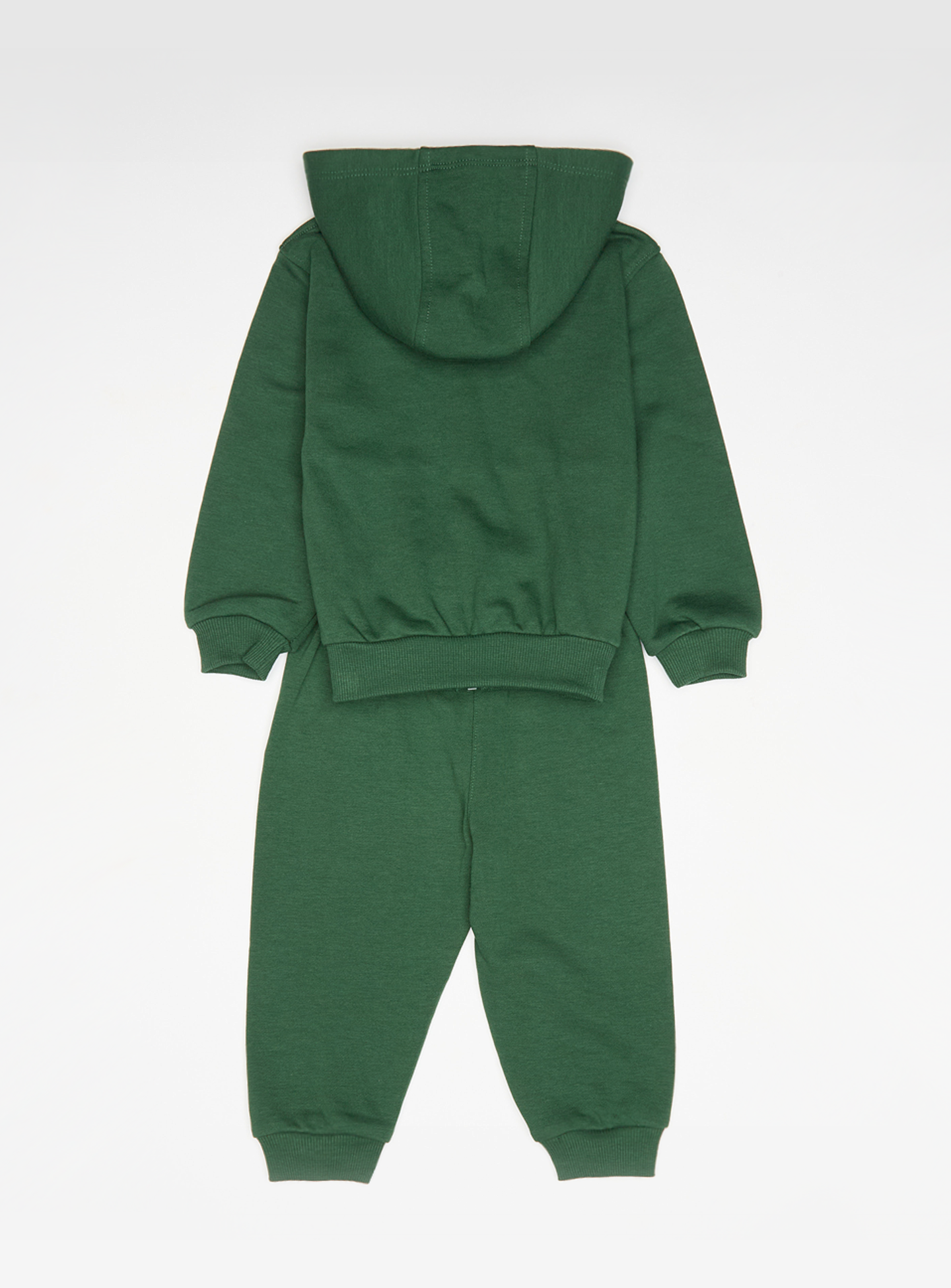 Nike, NKN LBR FT FZ CLUB SET fir, green, Image 2 of 7