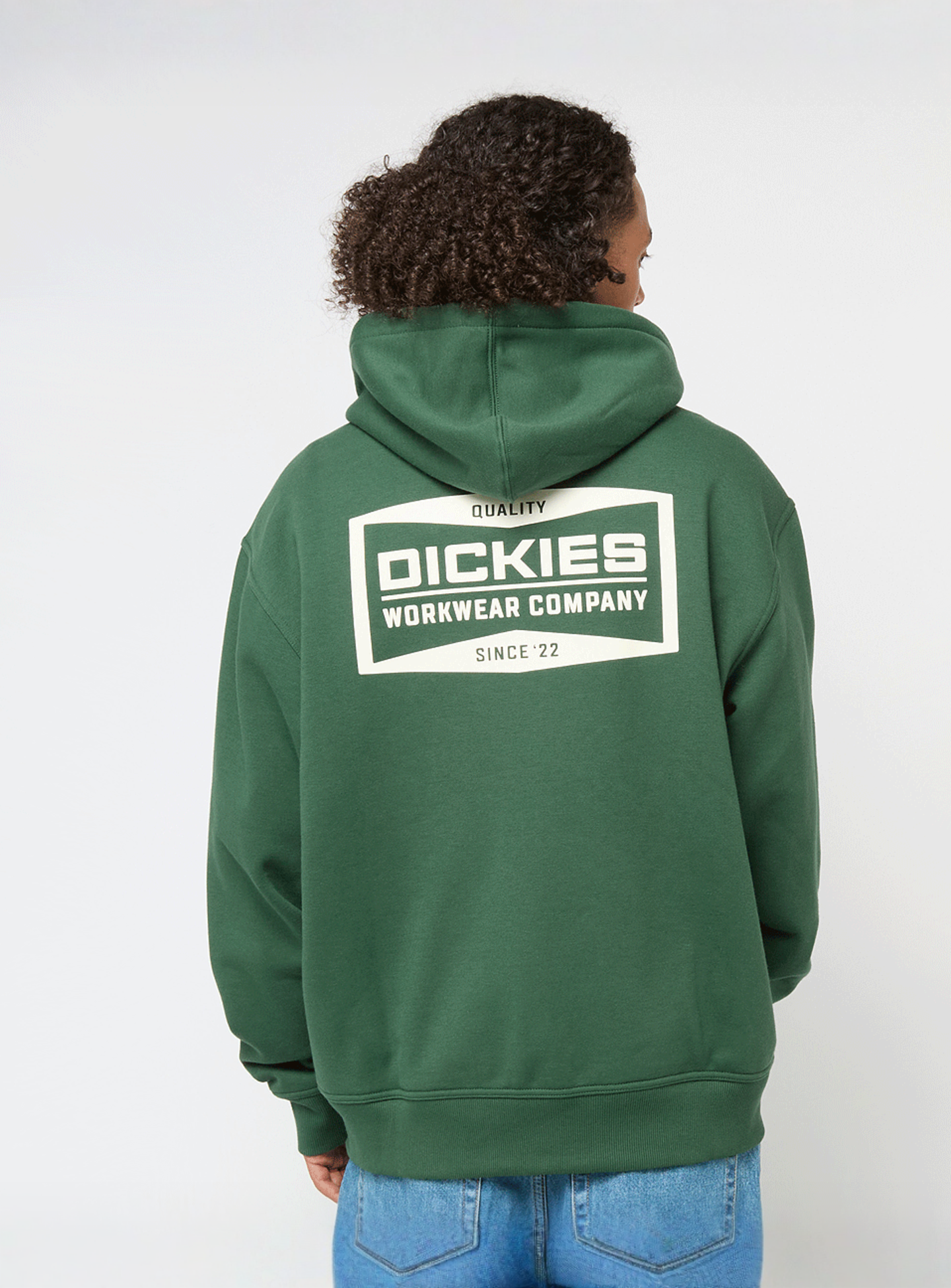 Dickies, Bolivar Full-Zip Hoodie, green, Image 1 of 5