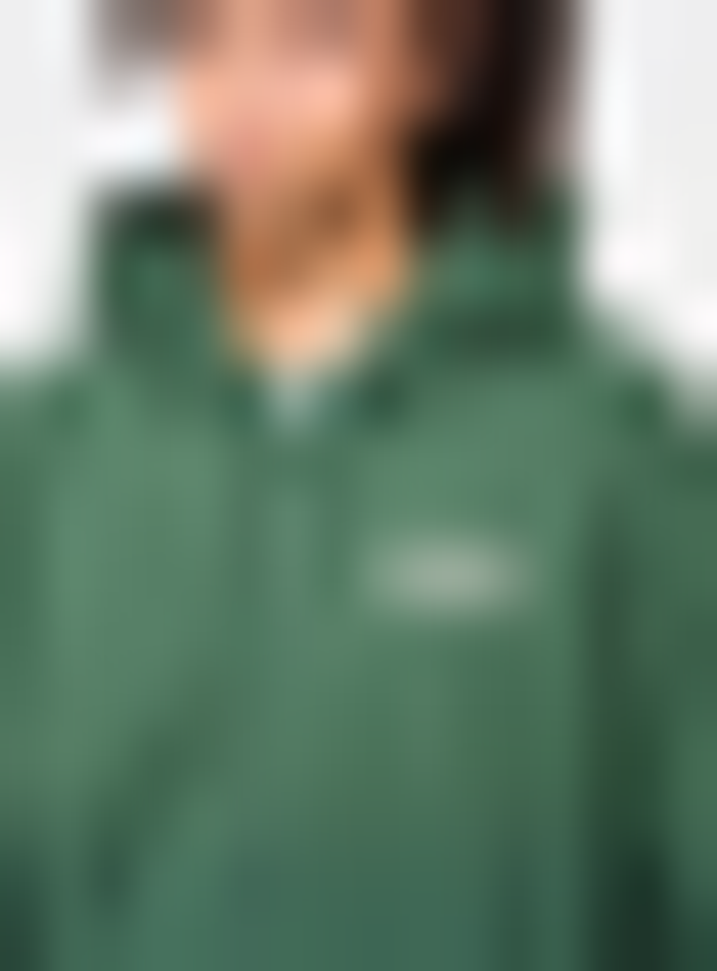 Dickies, Bolivar Full-Zip Hoodie, green, Image 3 of 5