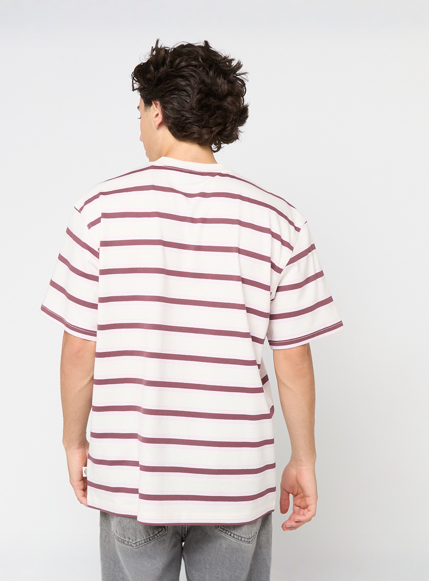 Dickies, York Stripe Short Sleeve Tee, beige, Image 2 of 4