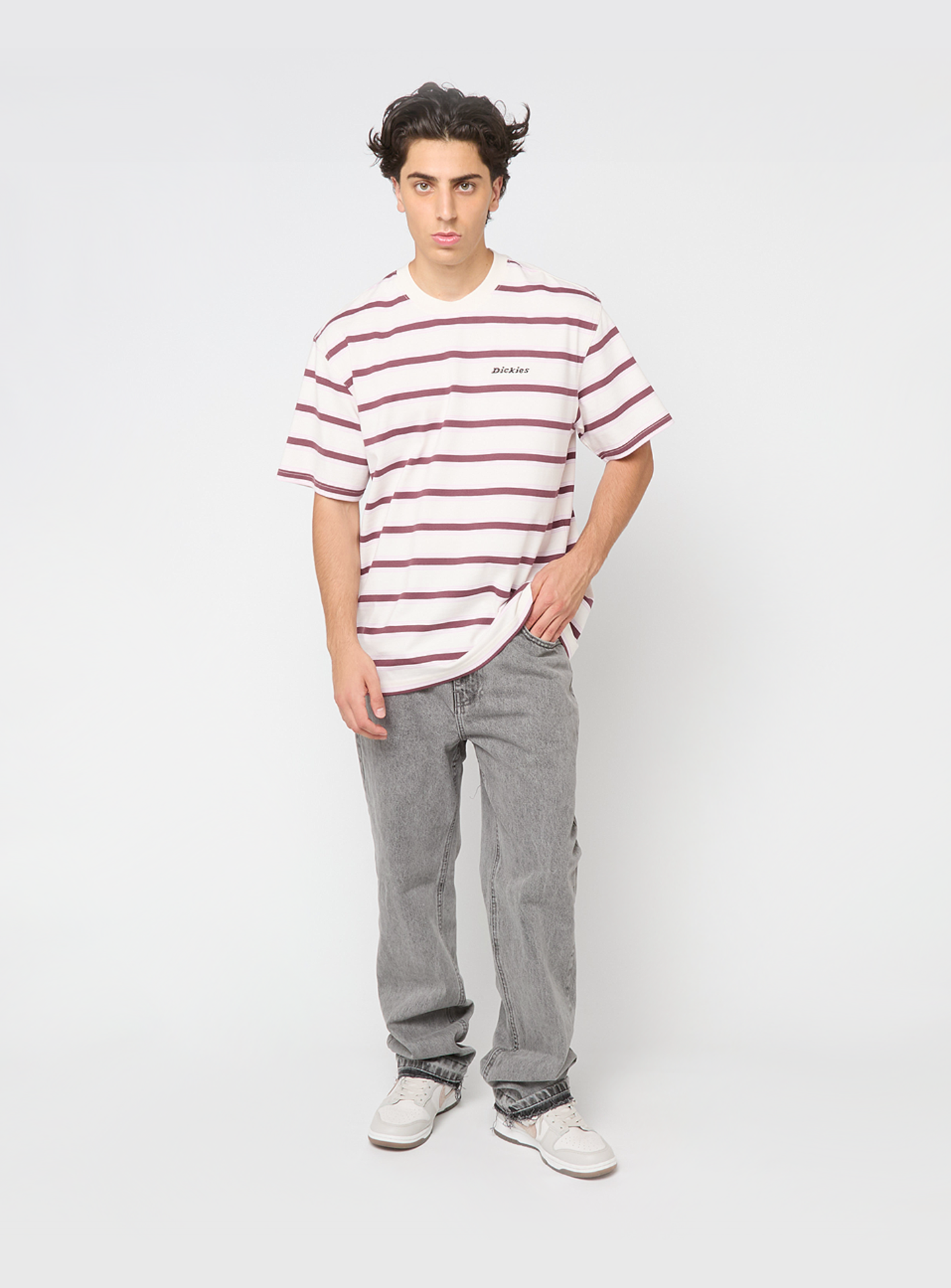 Dickies, York Stripe Short Sleeve Tee, beige, Image 4 of 4