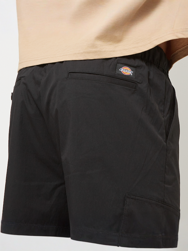Dickies, Flight Double Knee, black, Image 4 of 7