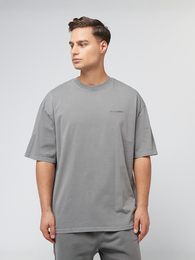 Pegador, Logo Oversized Tee, grey, Image 1 of 4