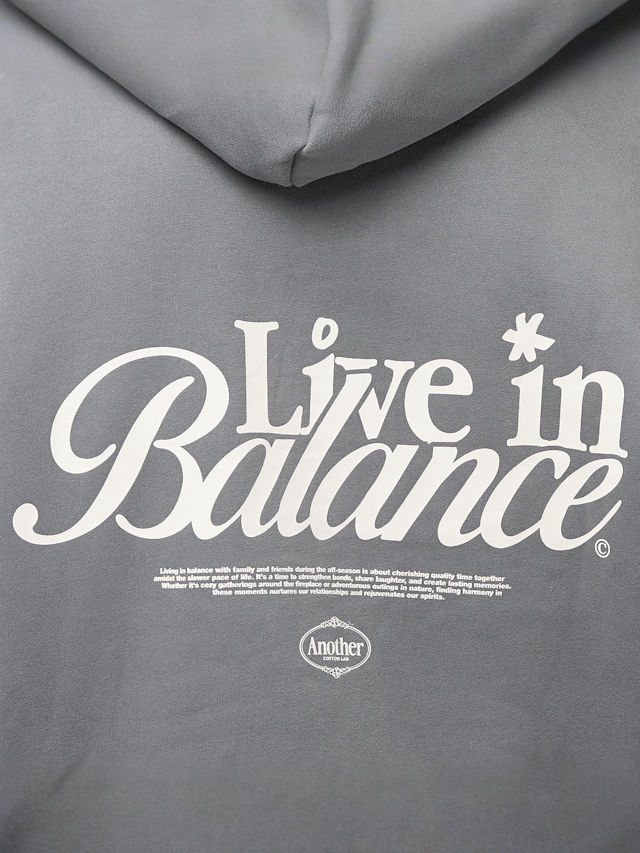 Another Cotton Lab, Live in Balance Heavy Oversized Hoodie, grey, Image 4 of 5