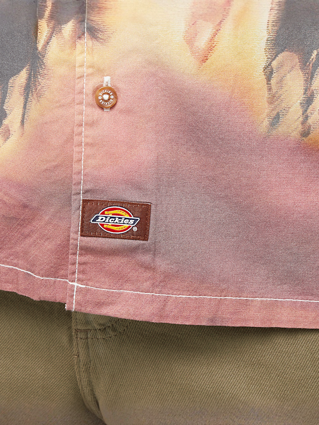 Dickies, Running Wild Shortsleeve Shirt, multi-colour, Image 3 of 4