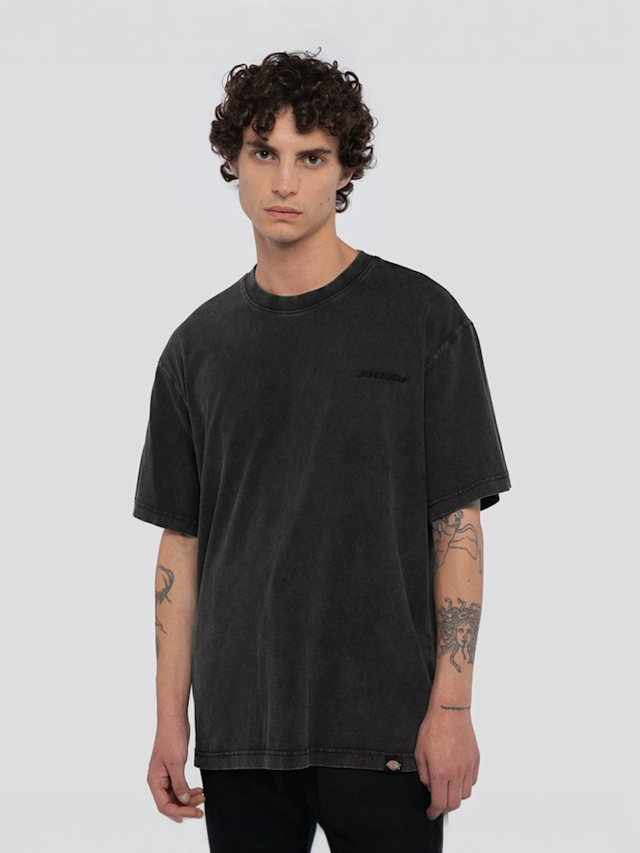 Dickies, Plentywood Tee Short Sleeve, grey, Image 1 of 5