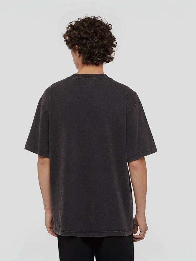 Dickies, Plentywood Tee Short Sleeve, grey, Image 2 of 5