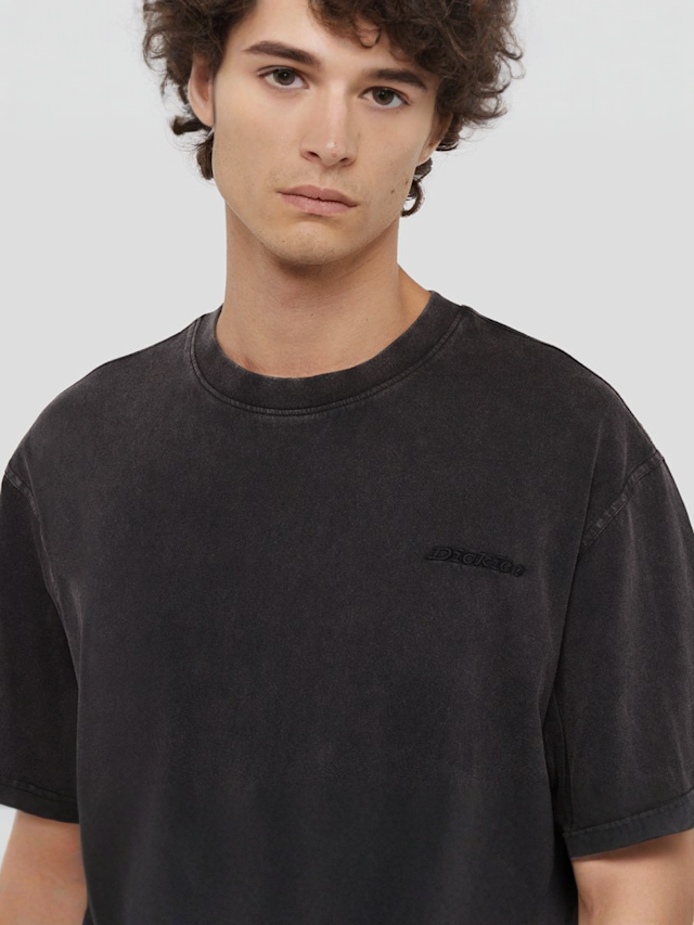 Dickies, Plentywood Tee Short Sleeve, grey, Image 3 of 5