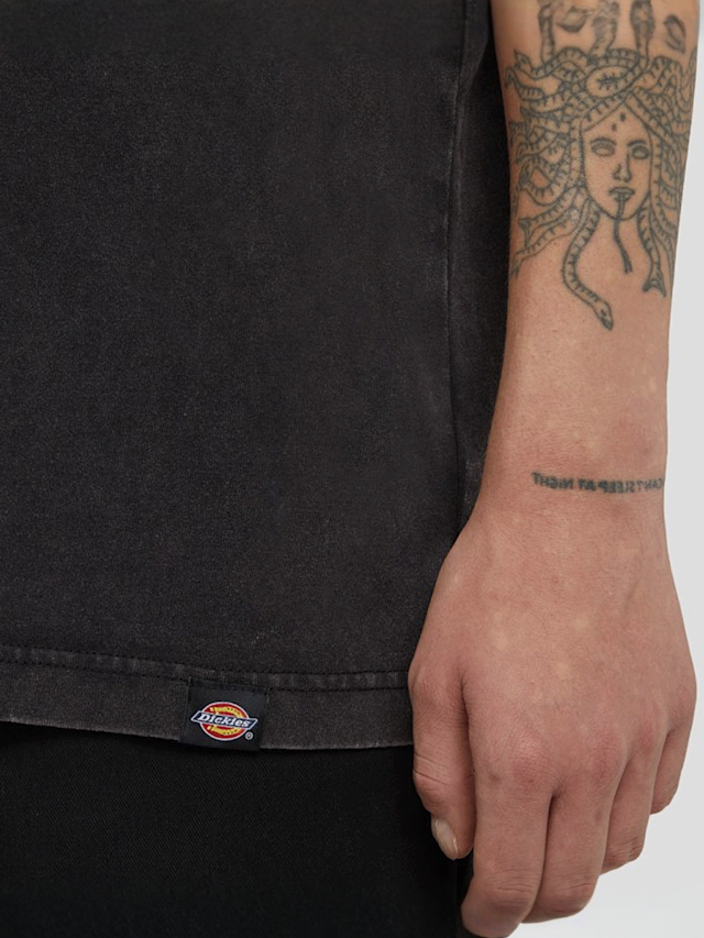 Dickies, Plentywood Tee Short Sleeve, grey, Image 4 of 5