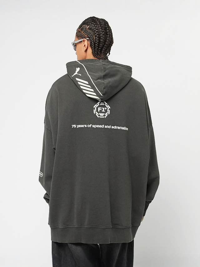 PUMA, F1 Hoodie, grey, Image 2 of 7