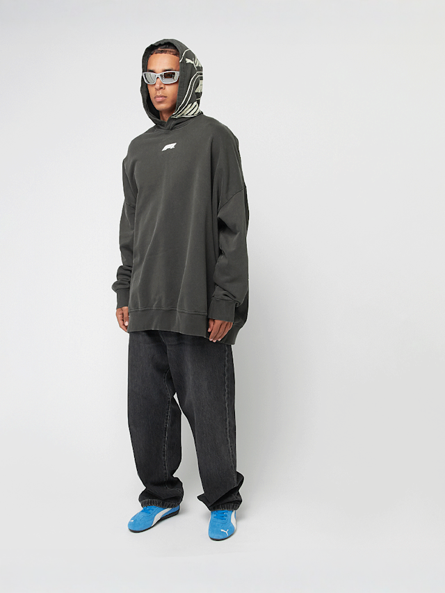PUMA, F1 Hoodie, grey, Image 7 of 7