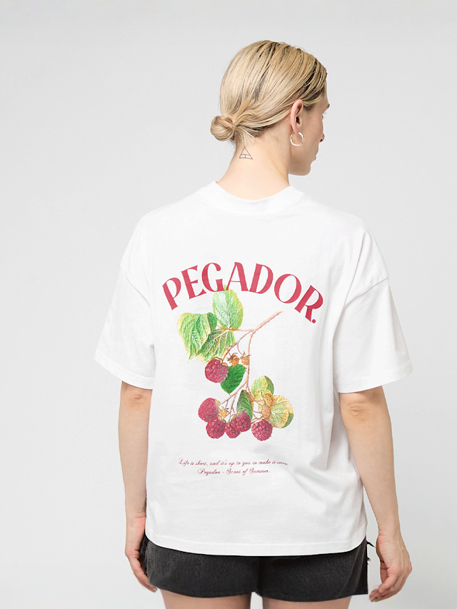 Pegador, Malli Heavy Oversized Tee, white, Image 1 of 5