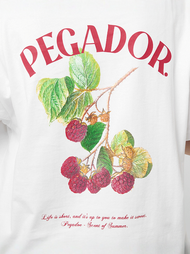Pegador, Malli Heavy Oversized Tee, white, Image 4 of 5