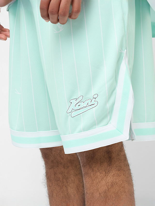 Karl Kani, Small Varsity Logo Pinstripe Mesh Shorts, blue, Image 3 of 4