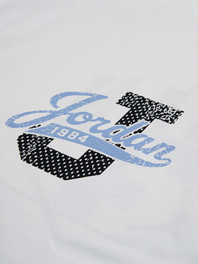 Jordan, Distressed Colligiate, white, Image 4 of 5