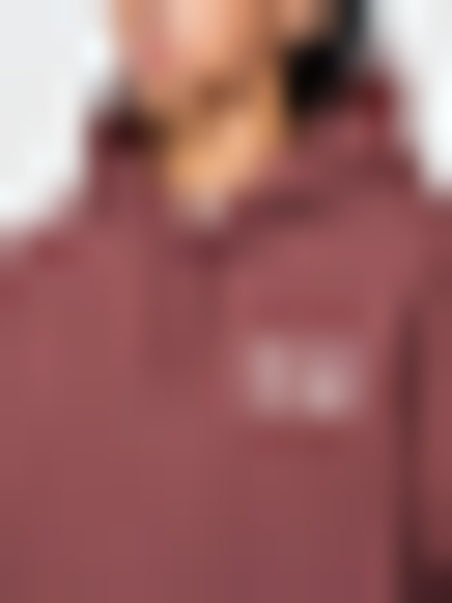 Dickies, DONUT HOUSE HOODIE andorra, red, Image 3 of 5
