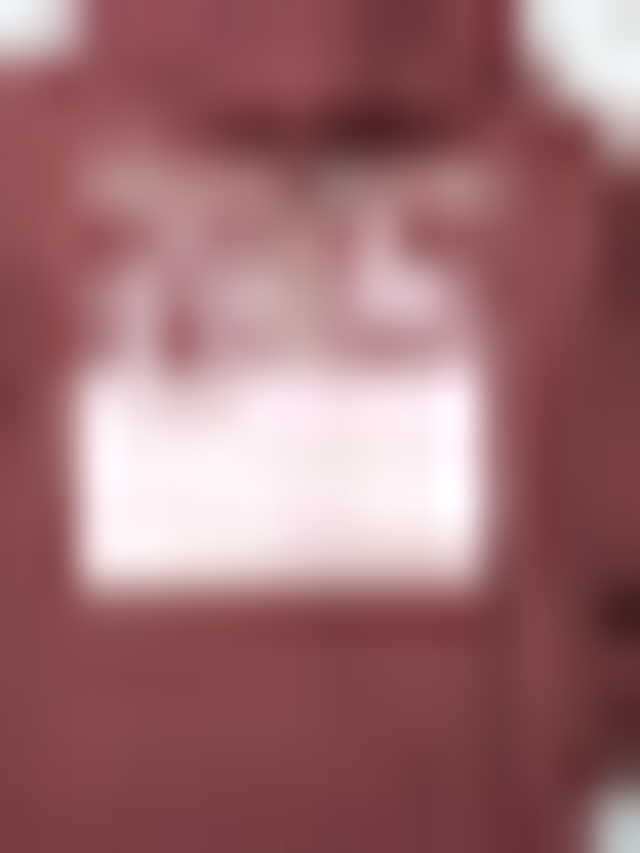 Dickies, DONUT HOUSE HOODIE andorra, red, Image 4 of 5