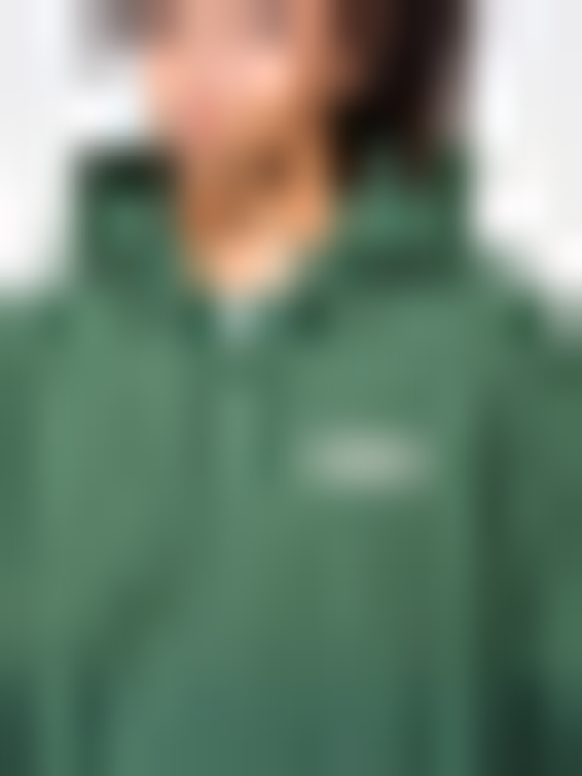 Dickies, Bolivar Full-Zip Hoodie, green, Image 3 of 5