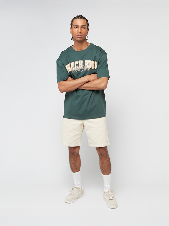 Mister Tee, Reach High Fear None Oversize Tee, green, Image 4 of 4