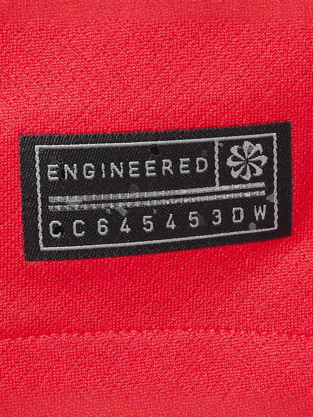 Nike, PSG Y NK DF JSY SS STAD 3R - Dembélé - 10, red, Image 4 of 7