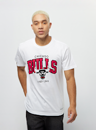 Mitchell & Ness, NBA Chicago Bulls Team Arch, white, Image 1 of 5