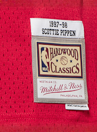Mitchell & Ness, NBA Swingman Chicago Bulls Scottie Pippen, red, Image 4 of 5
