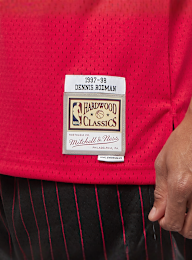 Mitchell & Ness, NBA Swingman Chicago Bulls Dennis Rodman scarlet, red, Image 4 of 5