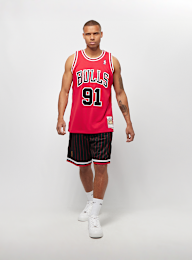 Mitchell & Ness, NBA Swingman Chicago Bulls Dennis Rodman scarlet, red, Image 5 of 5