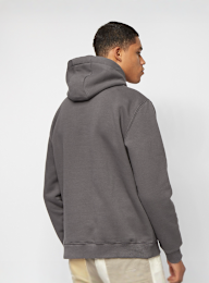 Karl Kani, Small Signature Hoodie, grijs, Afbeelding 2 van 5