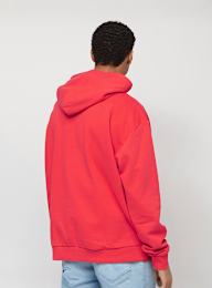 Karl Kani, Small Signature Essential Hoodie, multicolor, Afbeelding 2 van 5