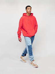 Karl Kani, Small Signature Essential Hoodie, multicolor, Afbeelding 5 van 5