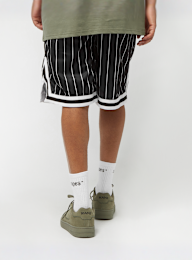 Karl Kani, Small Signature Pinstripe Mesh Shorts, zwart, Afbeelding 2 van 4
