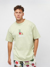 Converse, 02069174, groen, Afbeelding 1 van 6