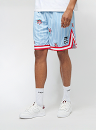 Karl Kani, KK Woven Signature Pinstripe Mesh Shorts light blue, blauw, Afbeelding 1 van 6