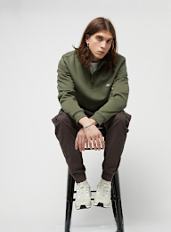 Dickies, Oakport Quartar Zip, green, Image 4 of 4