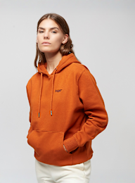 SNIPES, Small Logo Essential Hoodie, brown, Image 1 of 5