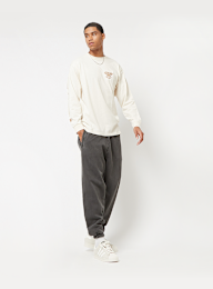 Vans, Canyon Adventure Vintage ls Tee, wit, Afbeelding 6 van 6