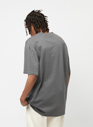 Karl Kani, Small Signature Essential Tee, grijs, Afbeelding 2 van 4