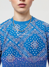 Karl Kani, Small Signature Paisley Tee, niebieski, Obraz 3 z 5