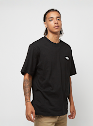 Dickies, Summerdale Tee Short Sleeve, bruin, Afbeelding 1 van 4