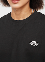 Dickies, Summerdale Tee Short Sleeve, brązowy, Obraz 3 z 4