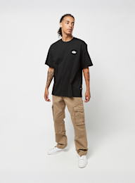 Dickies, Summerdale Tee Short Sleeve, brązowy, Obraz 4 z 4