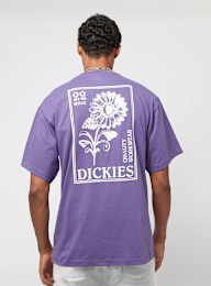 Dickies, GARDEN PLAIN TEE SS imperial palace, czarny, Obraz 1 z 5