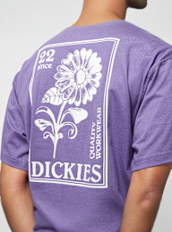 Dickies, GARDEN PLAIN TEE SS imperial palace, zwart, Afbeelding 4 van 5
