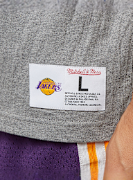 Mitchell & Ness, NBA Los Angeles Lakers City Collection, grijs, Afbeelding 1 van 5