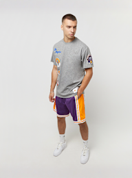 Mitchell & Ness, NBA Los Angeles Lakers City Collection, grijs, Afbeelding 5 van 5
